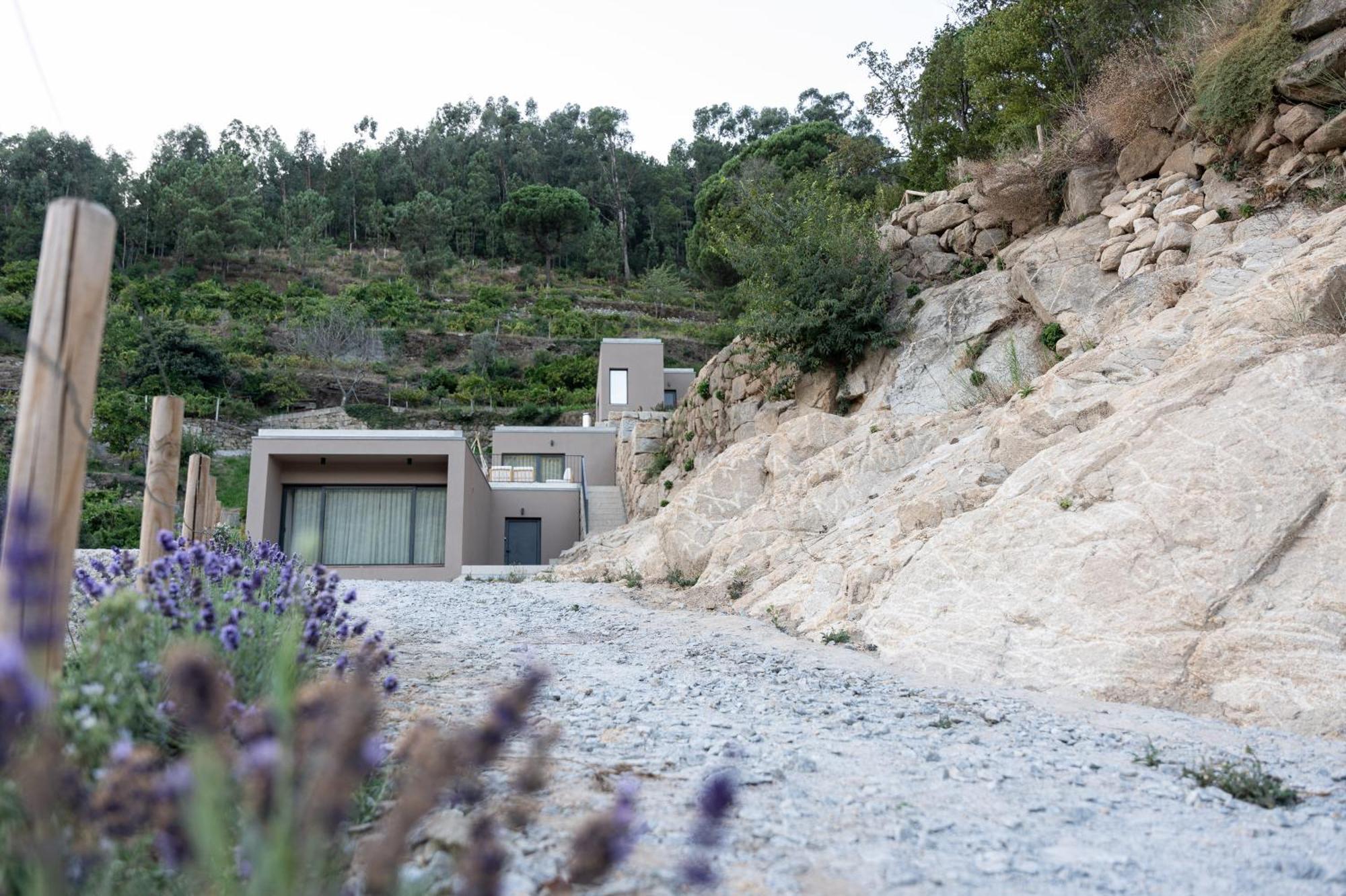 Quinta Da Ribeirinha - Douro River Pacos de Gaiolo Exterior photo